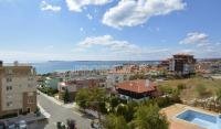 Studio Spain/Torrevieja